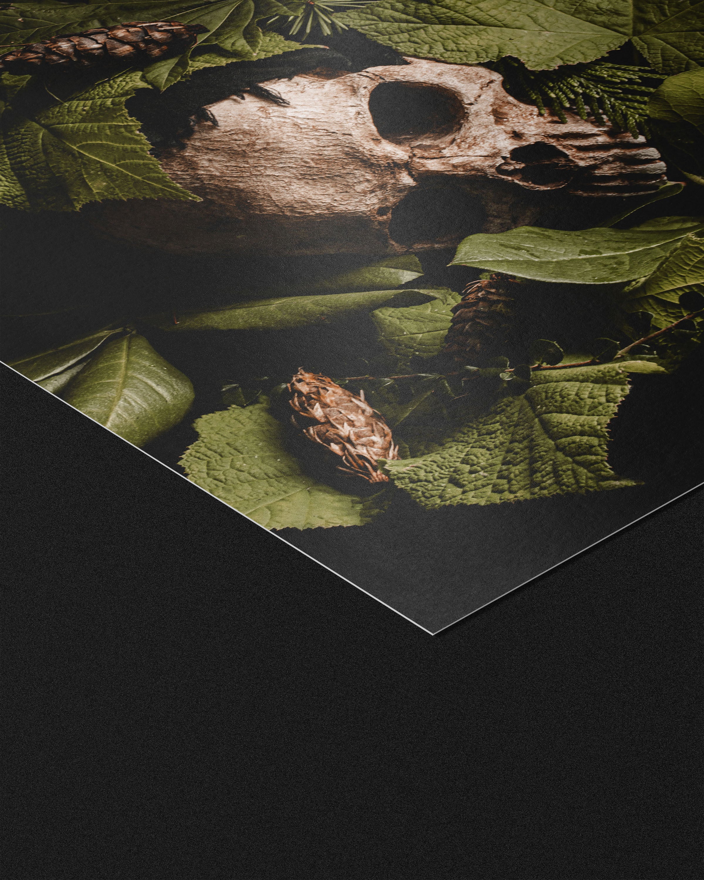 Verdant Repose - Fine Art Prints