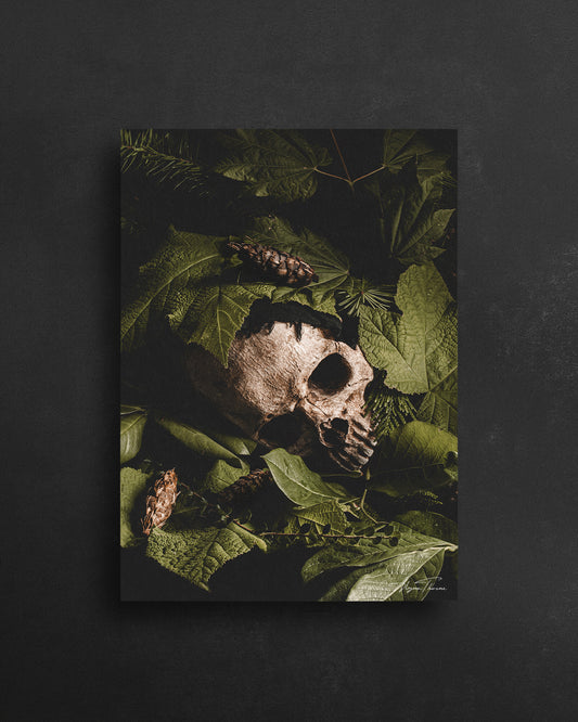 VERDANT REPOSE - POSTCARD