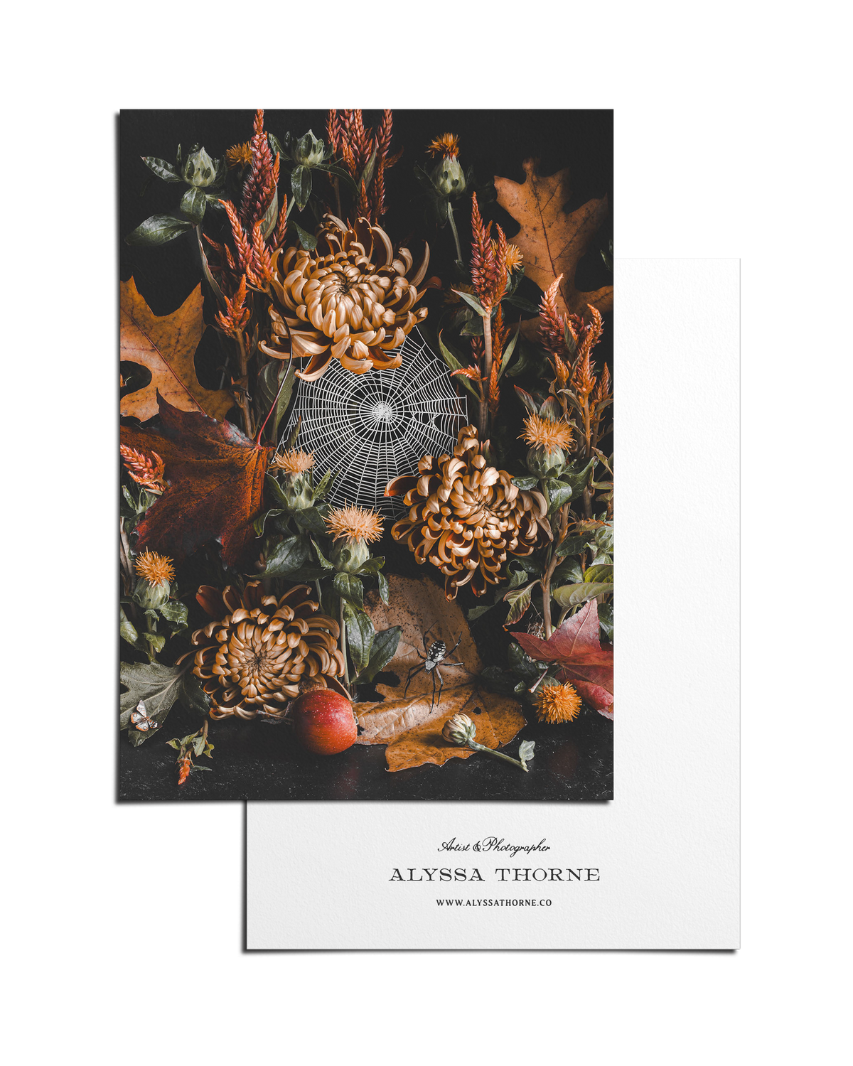Synthesis - 5 X 7 Postcard Print – Alyssa Thorne