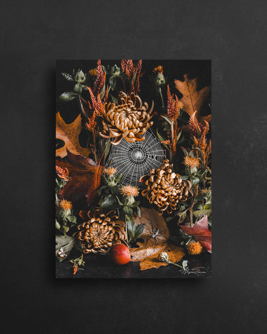 Webs At Dawn - 5 X 7 Postcard