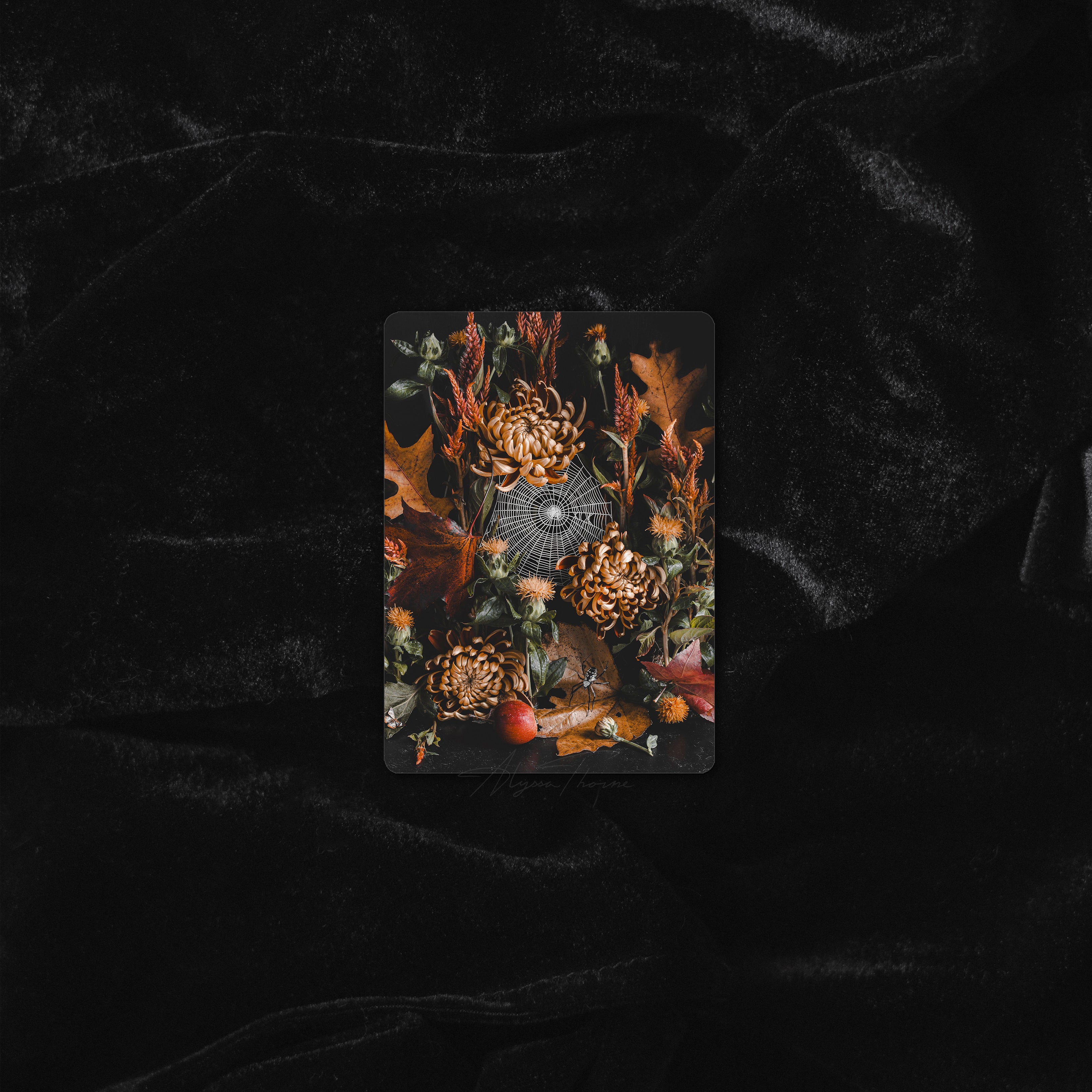 WEBS AT DAWN | TRADING CARD PRINT