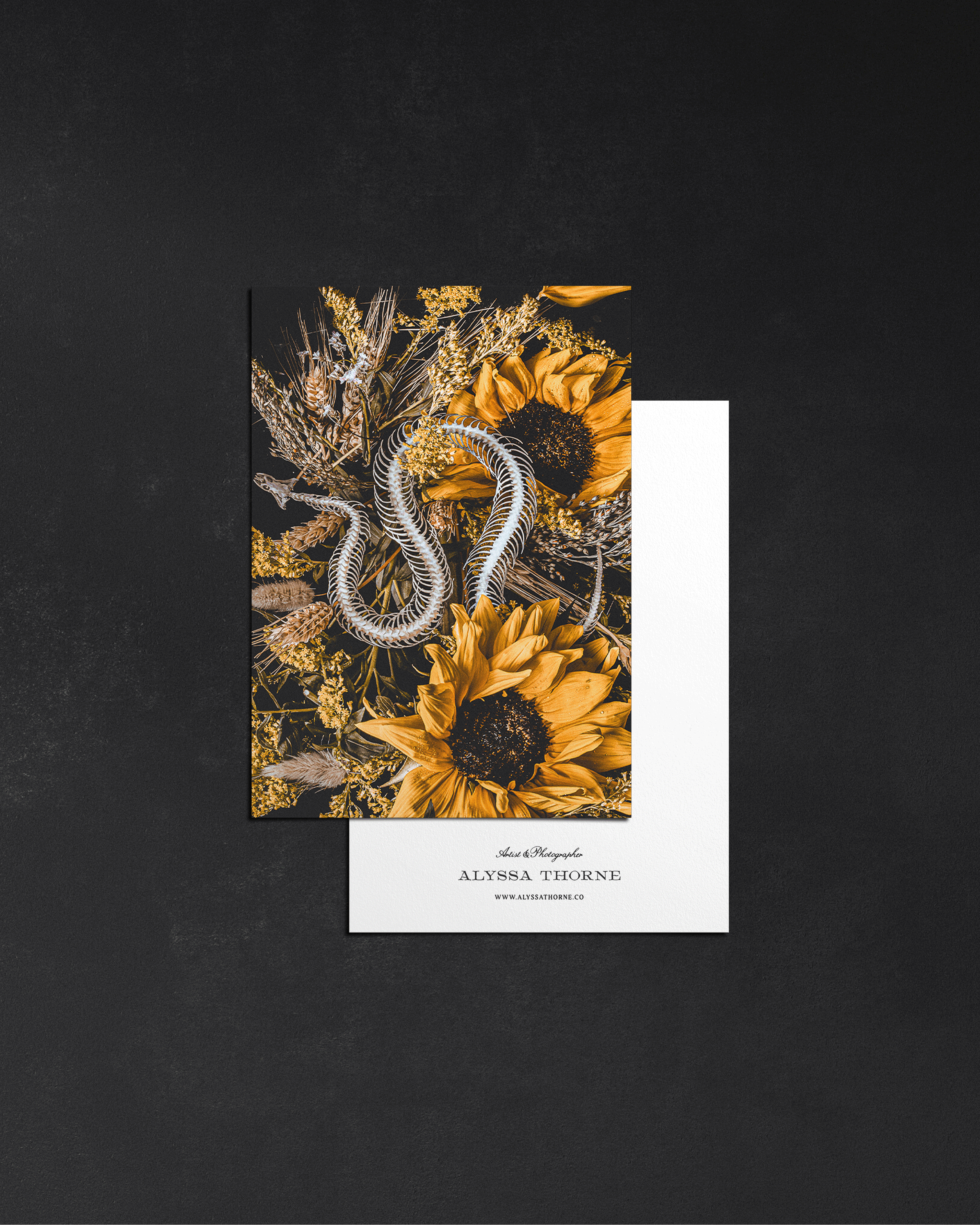 Death Of Seasons | Postcard