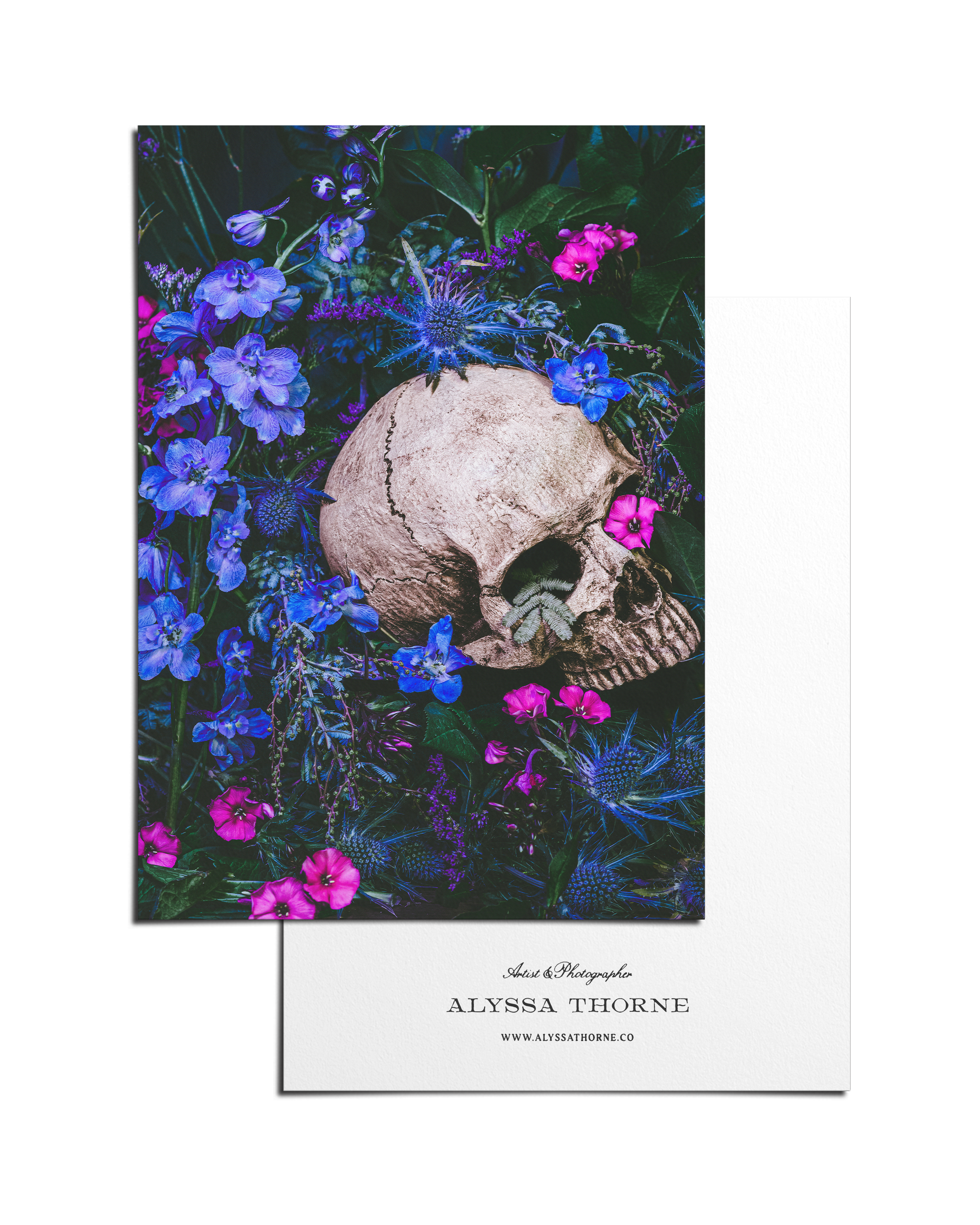 Ecstasia - 5 X 7 Postcard