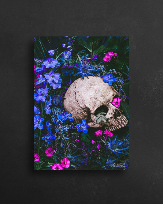 Take Me Back To Eden - 5 X 7 Postcard