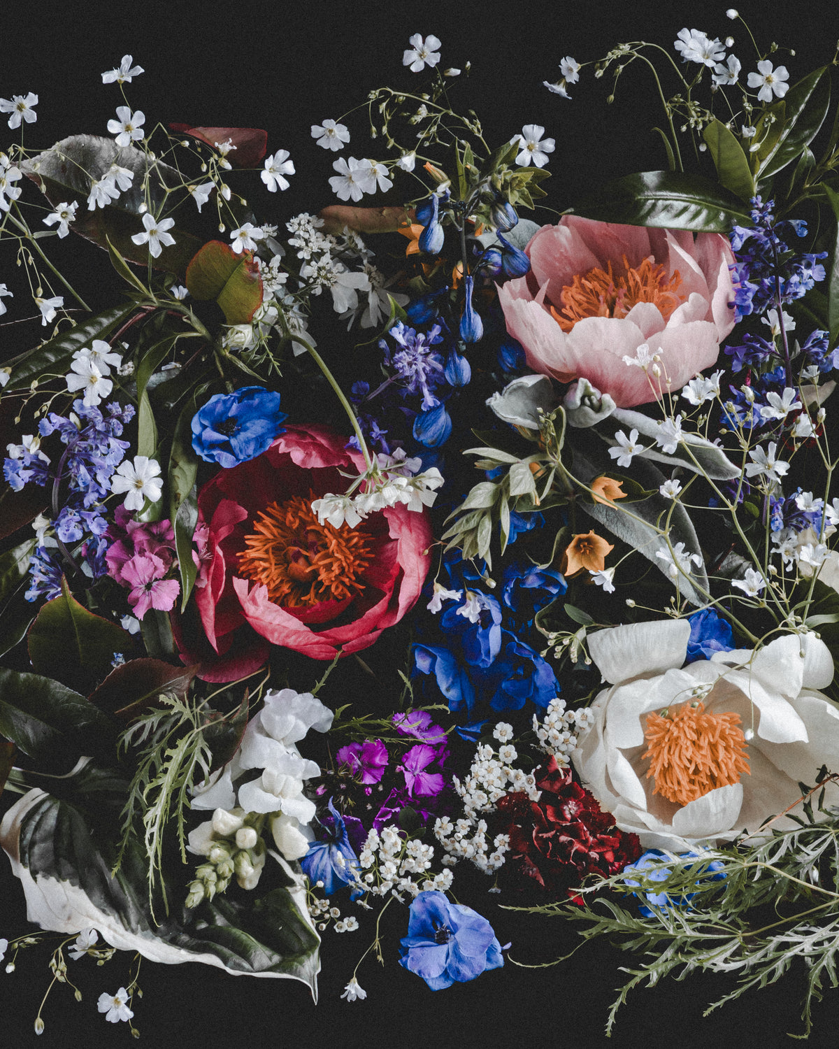 Efflorescence | Art Prints