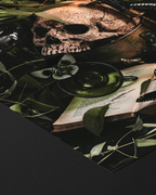 Poison Study - Fine Art Prints