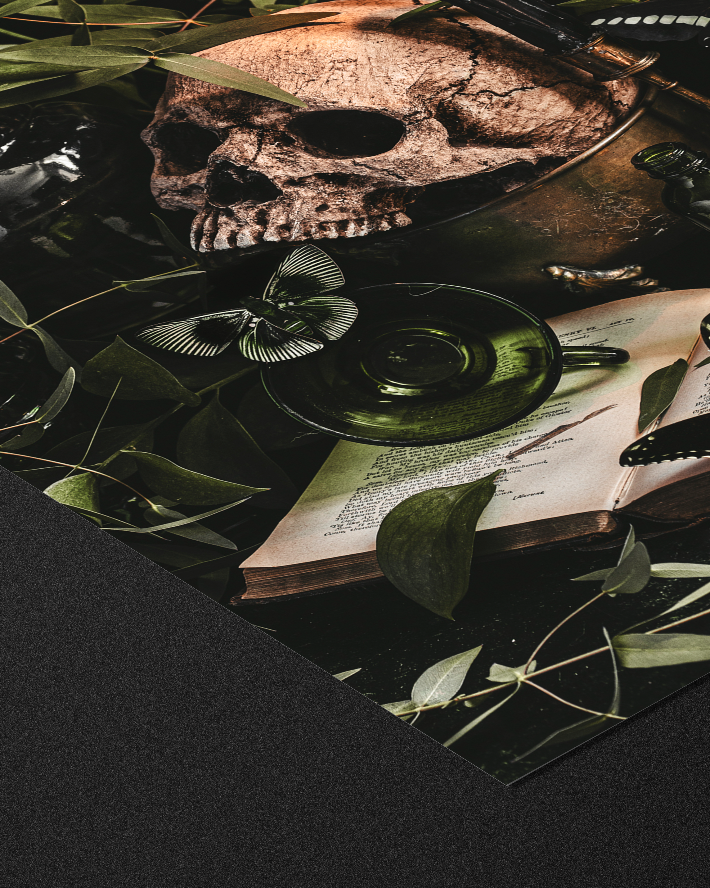 Poison Study - Fine Art Prints