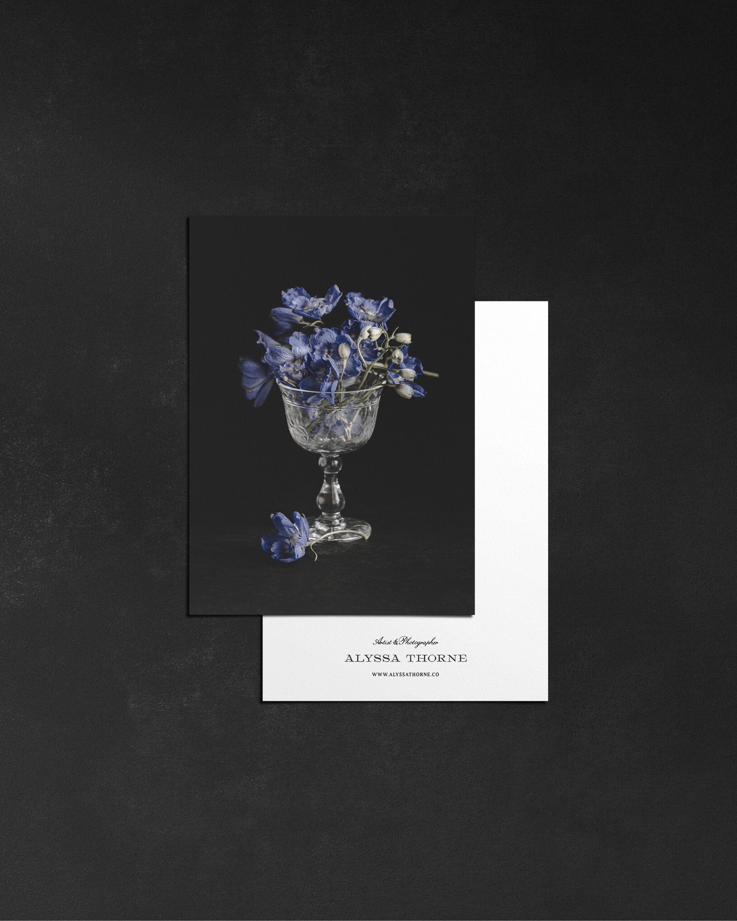 Midnight Garden | Postcard