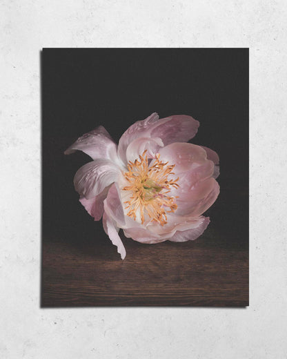 AN INCOMPLETE LIST | HEIRLOOM FINE ART PRINTS