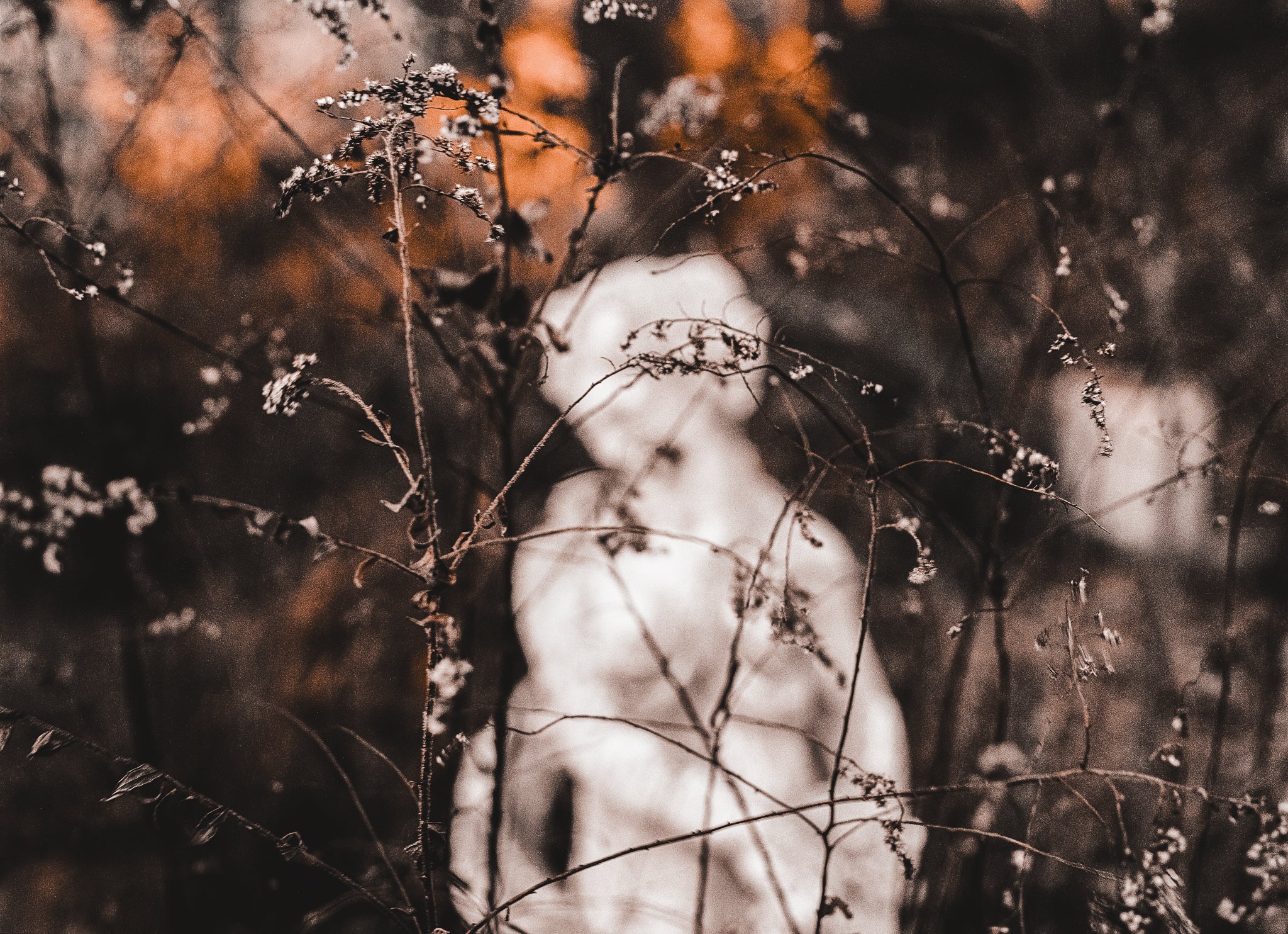 HAUNTED GARDEN - FINE ART PRINTS