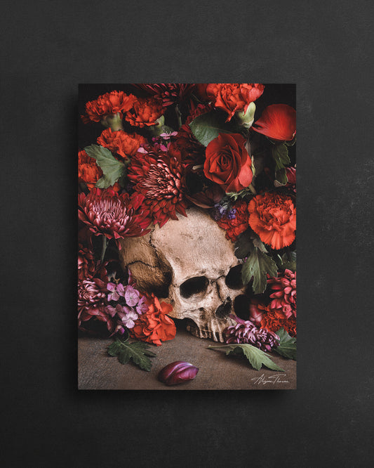 SUNSET IN DEATH'S GARDEN - POSTCARD