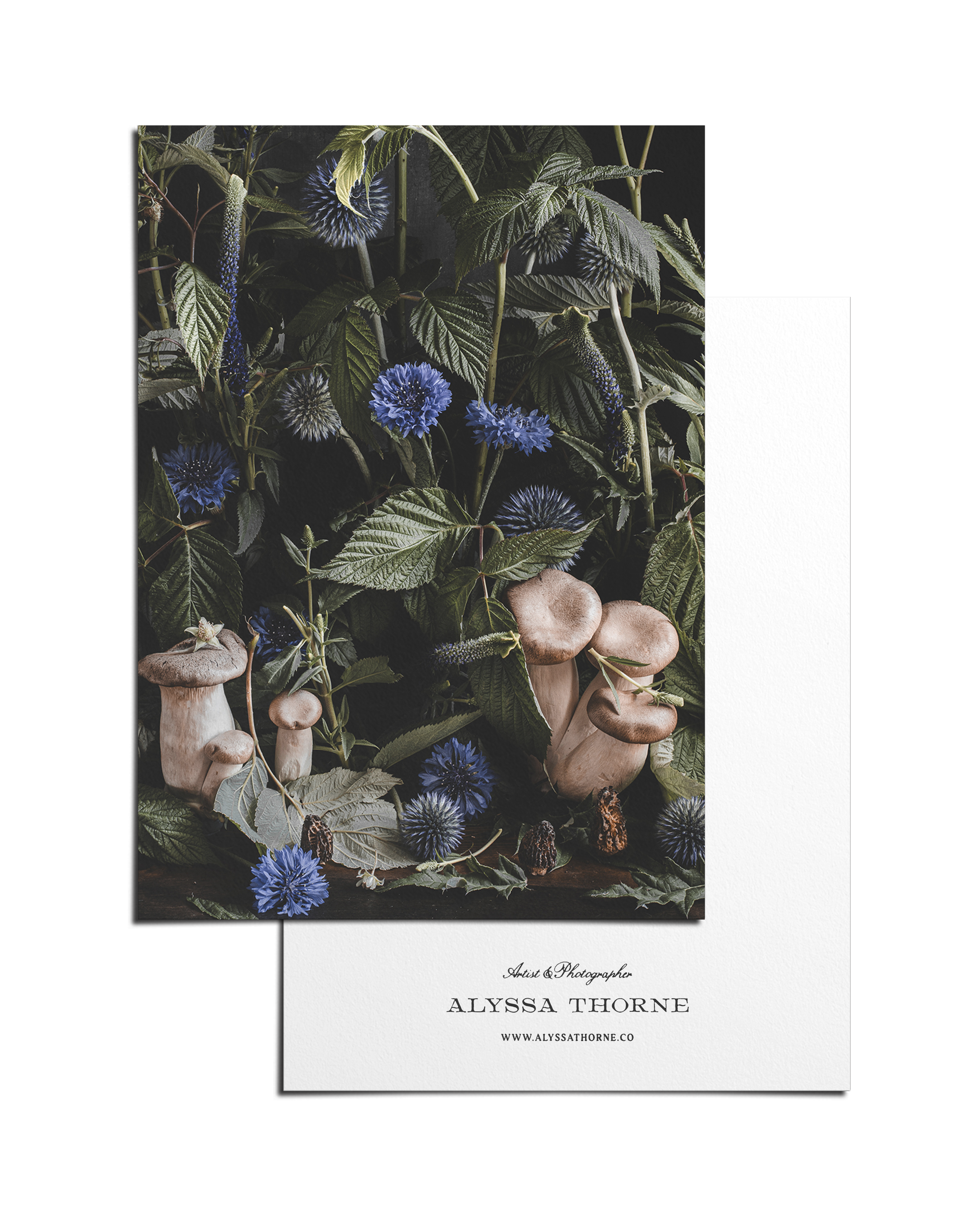 UNDERGROWTH - POSTCARD